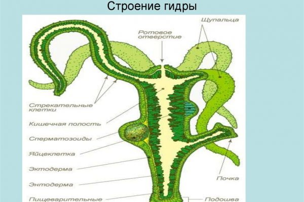 Ссылка блэкспрут