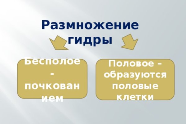 Bs clinic екатеринбург официальный сайт