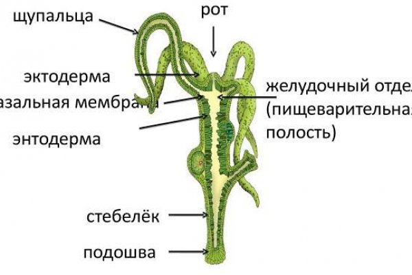 Блэк спрут рабочее зеркало blacksprut pl