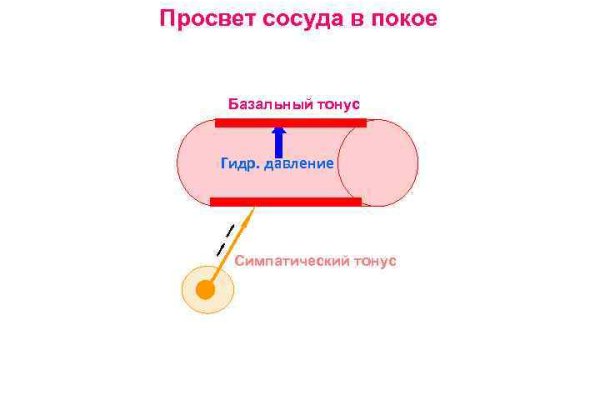 Блэкспрут телеграф